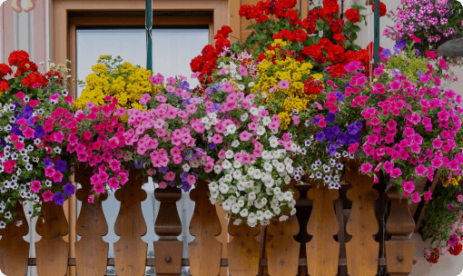 קורס למטפלים / מנחים "מגדיר לחיים" – באמצעות פרחים, קלפים ותמציות