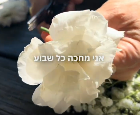 שזירת פרחים בגן הבוטני בירושלים